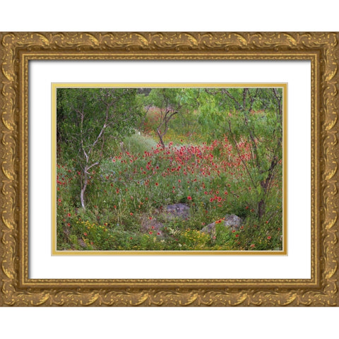 Wildflowers along White Creek Gold Ornate Wood Framed Art Print with Double Matting by Fitzharris, Tim