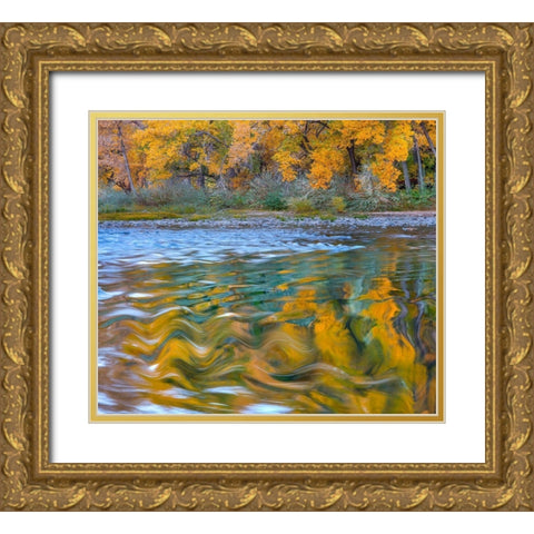Ripples in the Rio Grande Gold Ornate Wood Framed Art Print with Double Matting by Fitzharris, Tim