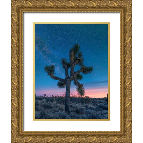 Milky Way at Joshua Tree National Park Gold Ornate Wood Framed Art Print with Double Matting by Fitzharris, Tim
