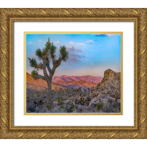 Joshua Trees at Lost Horse Valley Gold Ornate Wood Framed Art Print with Double Matting by Fitzharris, Tim