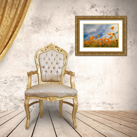 California Poppies near Lake Elsinor Gold Ornate Wood Framed Art Print with Double Matting by Fitzharris, Tim