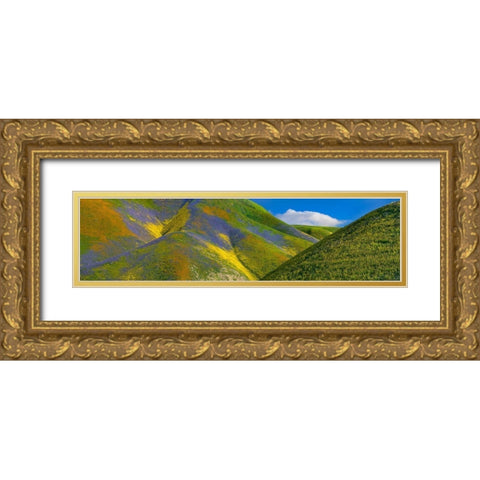 Spring Bloom on Temblor Range Gold Ornate Wood Framed Art Print with Double Matting by Fitzharris, Tim