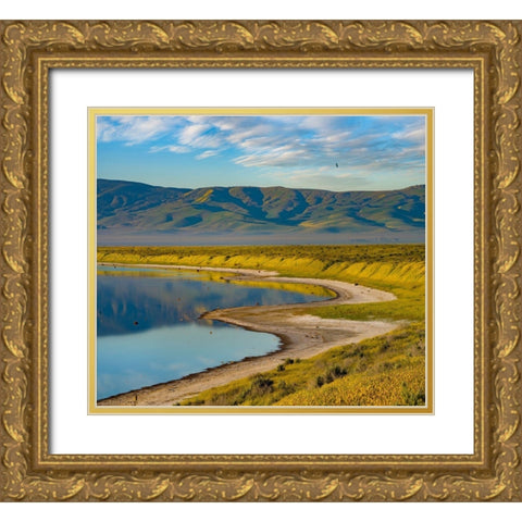 Soda Lake-Carrizo Plain National Monument Gold Ornate Wood Framed Art Print with Double Matting by Fitzharris, Tim
