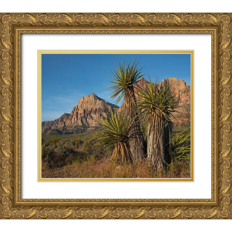 Mohave Yucca at Red Rock Canyon Gold Ornate Wood Framed Art Print with Double Matting by Fitzharris, Tim
