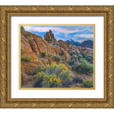 Spring Bloom at Alabama Hills Gold Ornate Wood Framed Art Print with Double Matting by Fitzharris, Tim