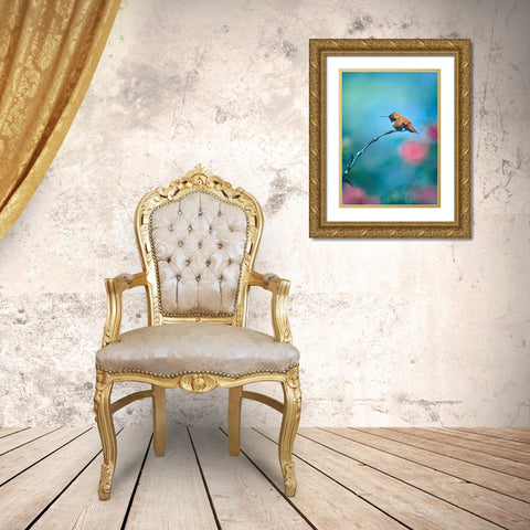 Rufous Hummingbird Sitting on Branch Gold Ornate Wood Framed Art Print with Double Matting by Fitzharris, Tim