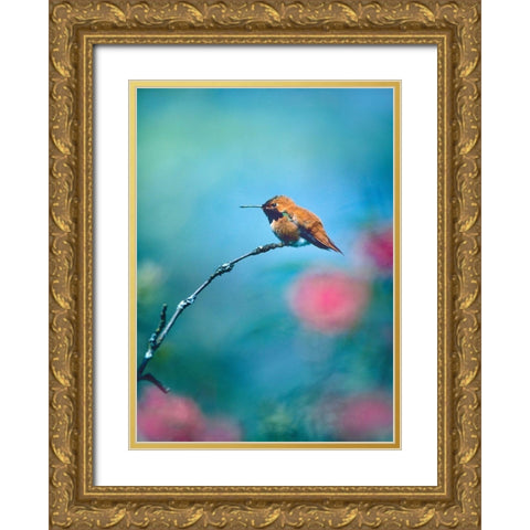 Rufous Hummingbird Sitting on Branch Gold Ornate Wood Framed Art Print with Double Matting by Fitzharris, Tim