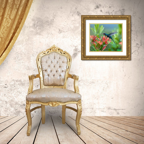 Green Hermit Hummingbird Gold Ornate Wood Framed Art Print with Double Matting by Fitzharris, Tim