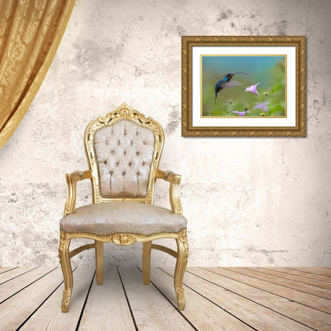 Green Hermit Hummingbird Gold Ornate Wood Framed Art Print with Double Matting by Fitzharris, Tim