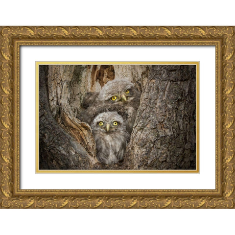 Civ and Civ Gold Ornate Wood Framed Art Print with Double Matting by Ghizzi Panizza, Alberto