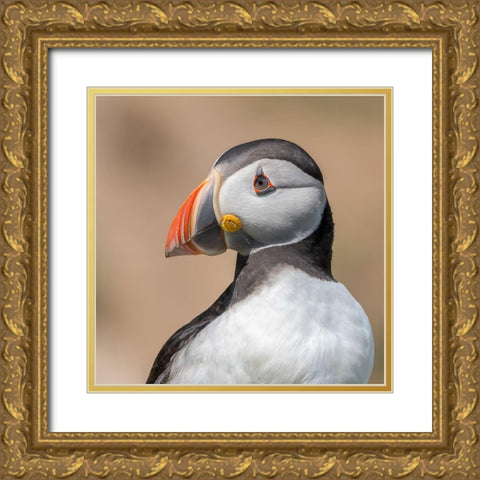 Portrait Gold Ornate Wood Framed Art Print with Double Matting by Galus, Piotr