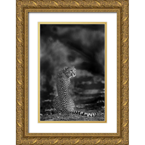 The look back Gold Ornate Wood Framed Art Print with Double Matting by Marx, Jaco