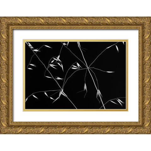 Crossed Lines Gold Ornate Wood Framed Art Print with Double Matting by Azevedo, Olavo
