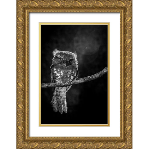 Alone in the night Gold Ornate Wood Framed Art Print with Double Matting by Wilianto