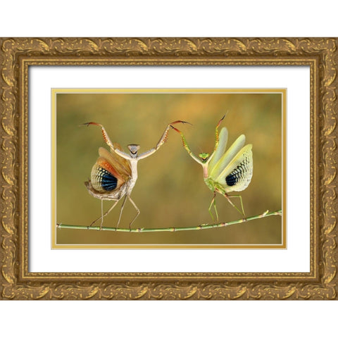 Show Time Gold Ornate Wood Framed Art Print with Double Matting by Baglar, Hasan