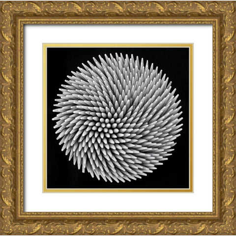 hypnosis Gold Ornate Wood Framed Art Print with Double Matting by Toniolo, Giorgio