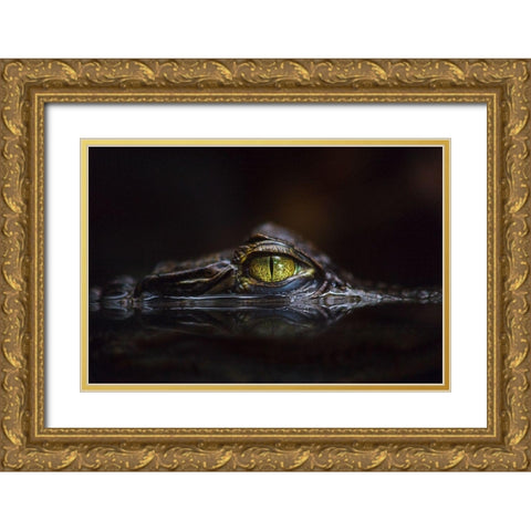 Hypnotic Gold Ornate Wood Framed Art Print with Double Matting by Cessati, Gaetano