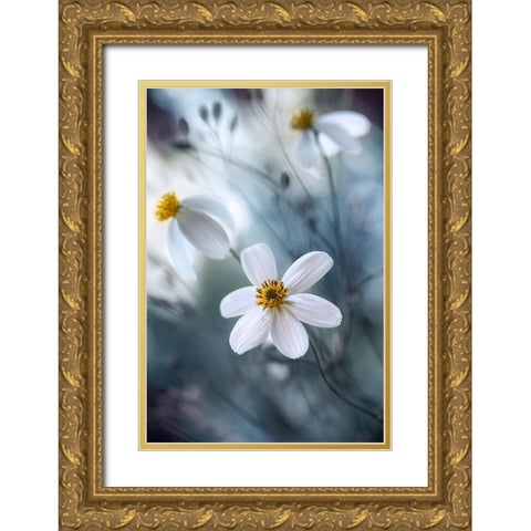 Cosmos Gold Ornate Wood Framed Art Print with Double Matting by Disher, Mandy