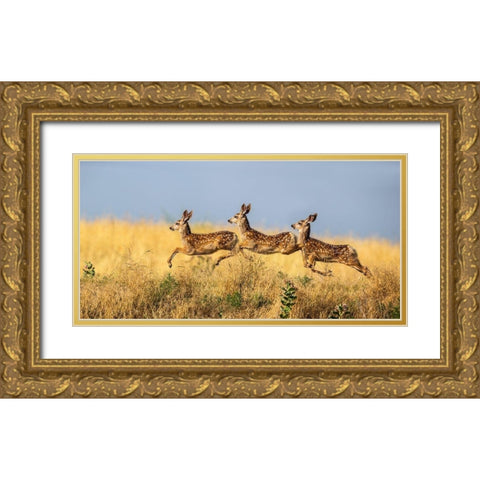 Tripple Jump Gold Ornate Wood Framed Art Print with Double Matting by Verdon
