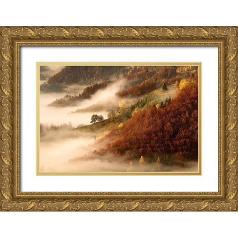 Novembers fog Gold Ornate Wood Framed Art Print with Double Matting by Bor