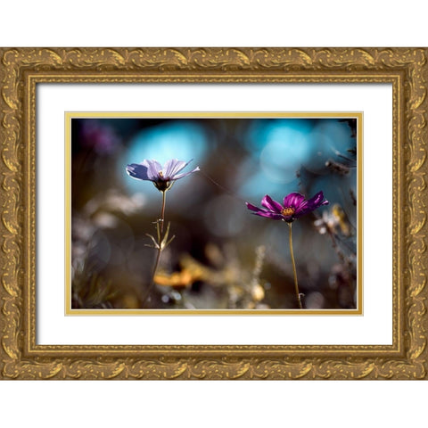 Le lien Gold Ornate Wood Framed Art Print with Double Matting by Bravin, Fabien