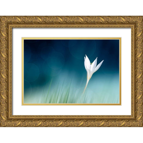 Lonely Gold Ornate Wood Framed Art Print with Double Matting by Reindl, Doris