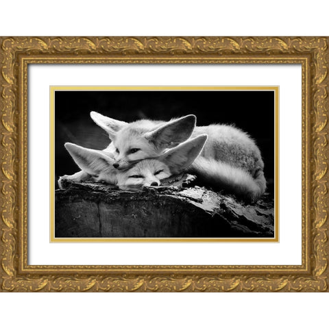 The happy couple Gold Ornate Wood Framed Art Print with Double Matting by Ross Rossi, Ib