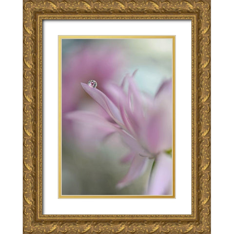 In pink delight Gold Ornate Wood Framed Art Print with Double Matting by Westum, Heidi