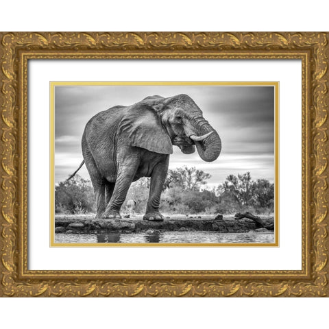 Standing Proud Gold Ornate Wood Framed Art Print with Double Matting by Marx, Jaco