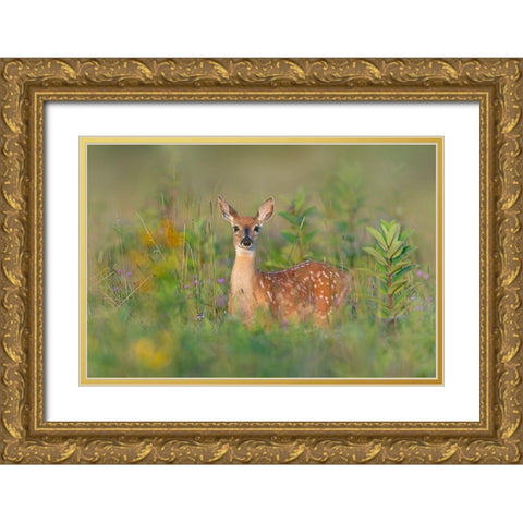 Fragrance of Summer Gold Ornate Wood Framed Art Print with Double Matting by Kalathas, Nick