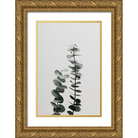 Eucalyptus Natural 03 Gold Ornate Wood Framed Art Print with Double Matting by Artographie Studio