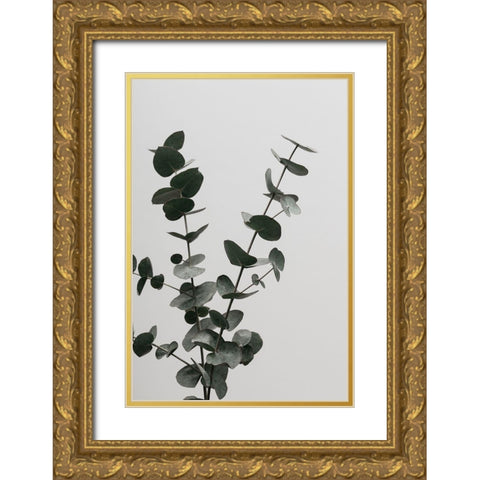 Eucalyptus Natural 04 Gold Ornate Wood Framed Art Print with Double Matting by Artographie Studio