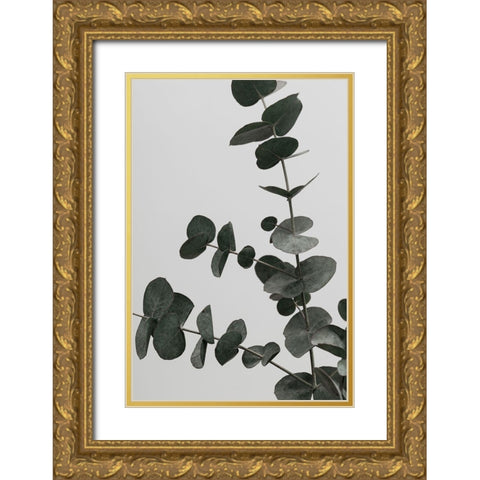 Eucalyptus Natural 05 Gold Ornate Wood Framed Art Print with Double Matting by Artographie Studio