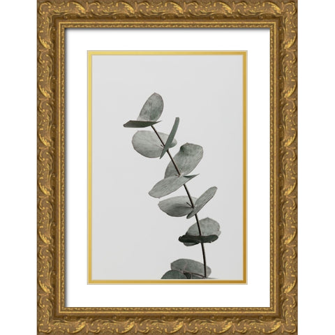 Eucalyptus Natural 06 Gold Ornate Wood Framed Art Print with Double Matting by Artographie Studio