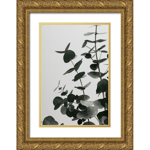 Eucalyptus Natural 08 Gold Ornate Wood Framed Art Print with Double Matting by Artographie Studio