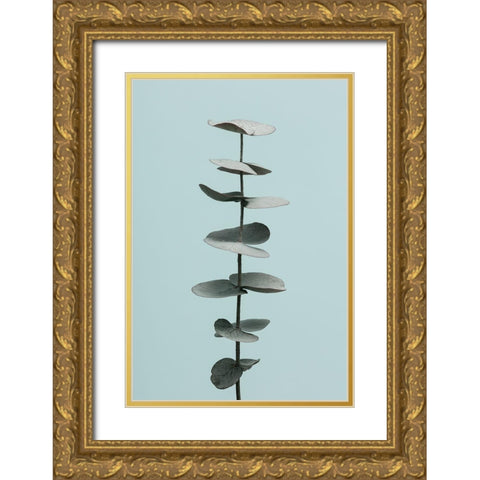 Eucalyptus Blue No 1 Gold Ornate Wood Framed Art Print with Double Matting by Artographie Studio