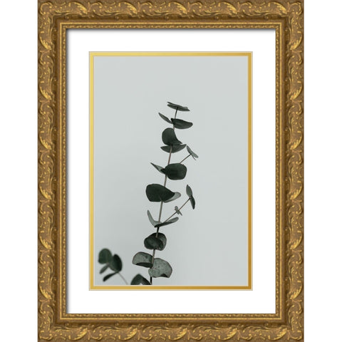 Eucalyptus Natural 10 Gold Ornate Wood Framed Art Print with Double Matting by Artographie Studio
