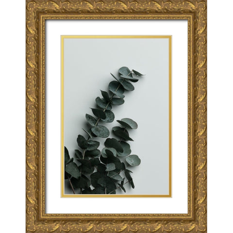Eucalyptus Wall 01 Gold Ornate Wood Framed Art Print with Double Matting by Artographie Studio