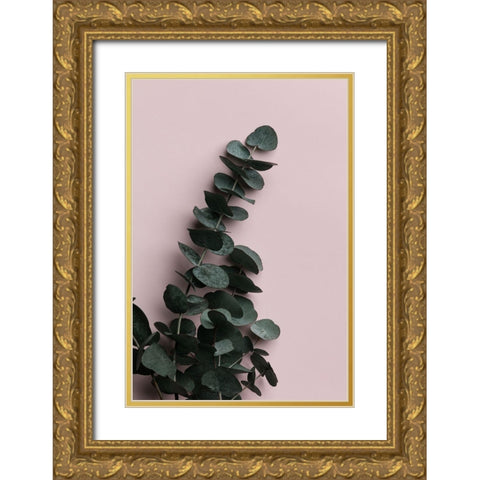 Eucalyptus Pink No02 Gold Ornate Wood Framed Art Print with Double Matting by Artographie Studio