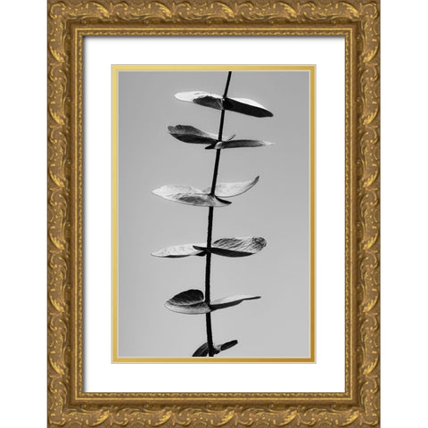 Eucalyptus Black and White Gold Ornate Wood Framed Art Print with Double Matting by Artographie Studio