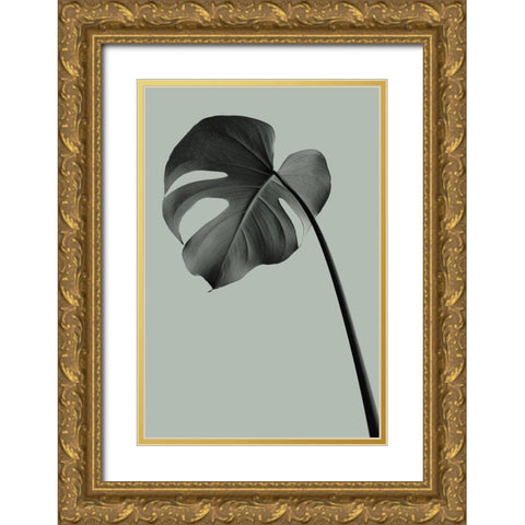 Monstera Teal 02 Gold Ornate Wood Framed Art Print with Double Matting by Artographie Studio