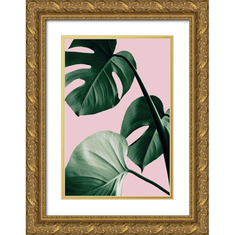 Monstera Pink No 07 Gold Ornate Wood Framed Art Print with Double Matting by Artographie Studio