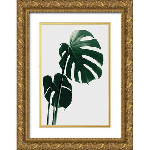 Monstera Natural 16 Gold Ornate Wood Framed Art Print with Double Matting by Artographie Studio