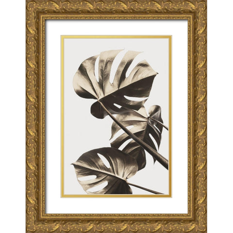 Monstera Gold 09 Gold Ornate Wood Framed Art Print with Double Matting by Artographie Studio