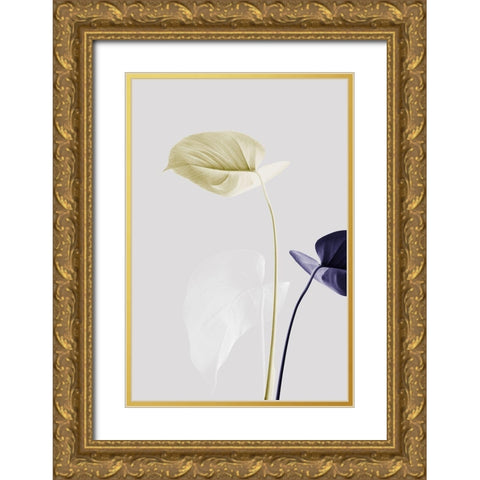 Monstera Creative 23 Gold Ornate Wood Framed Art Print with Double Matting by Artographie Studio