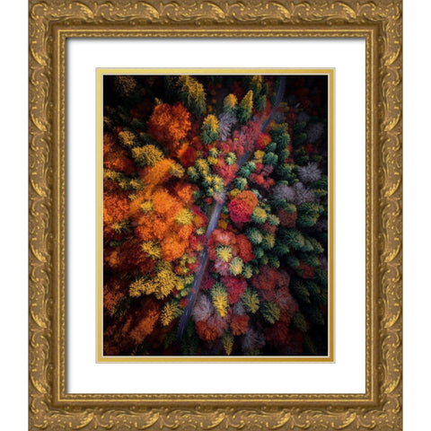 Fall stories Gold Ornate Wood Framed Art Print with Double Matting by Razvan