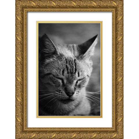 Close to the sunlight Gold Ornate Wood Framed Art Print with Double Matting by Cambero Munoz, Jesus