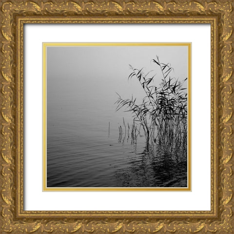 Mist Over the Lake 2021 Gold Ornate Wood Framed Art Print with Double Matting by Riis, poul-erik