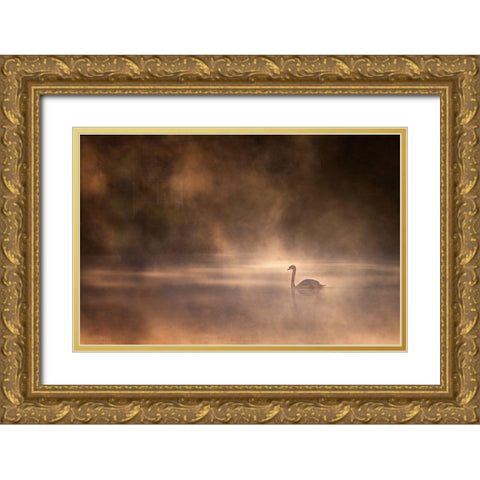 Foggy Morning Gold Ornate Wood Framed Art Print with Double Matting by Zhong, John-Mei