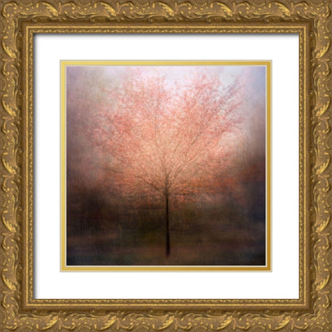 Dream Come True Gold Ornate Wood Framed Art Print with Double Matting by Holmstrom, Katarina